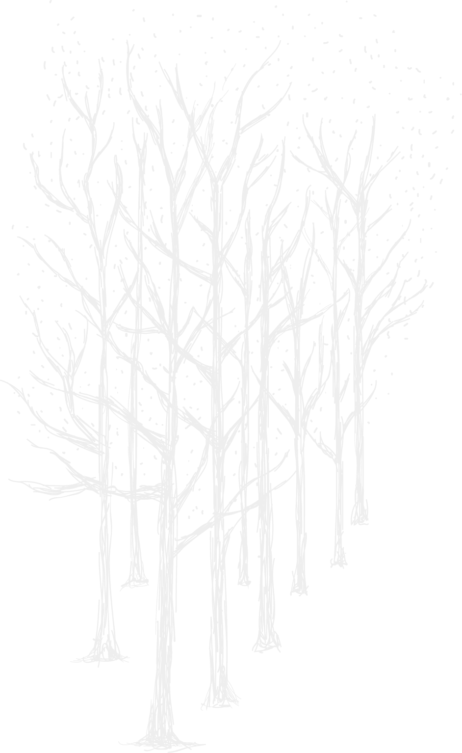 ファーストビューの木